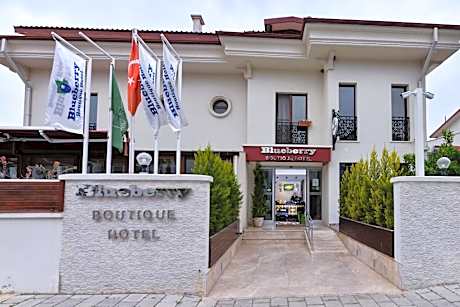 Blueberry Boutique Hotel