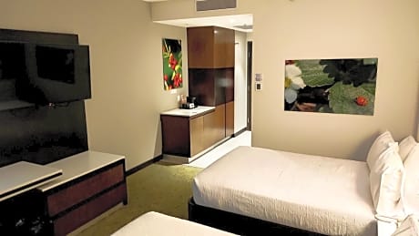 Double Room with Two Double Beds