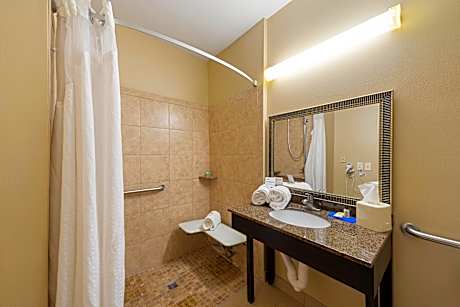 1 Kng Bed Standard Comm Access Roll Shwr