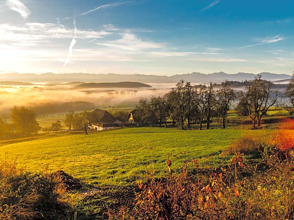 TrippelGUT - SchlafGUT