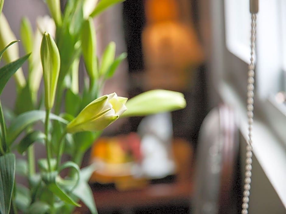 Dragon Pearl Hotel Hanoi