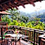 The Shorea