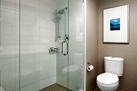 Executive Room, 1 King Bed