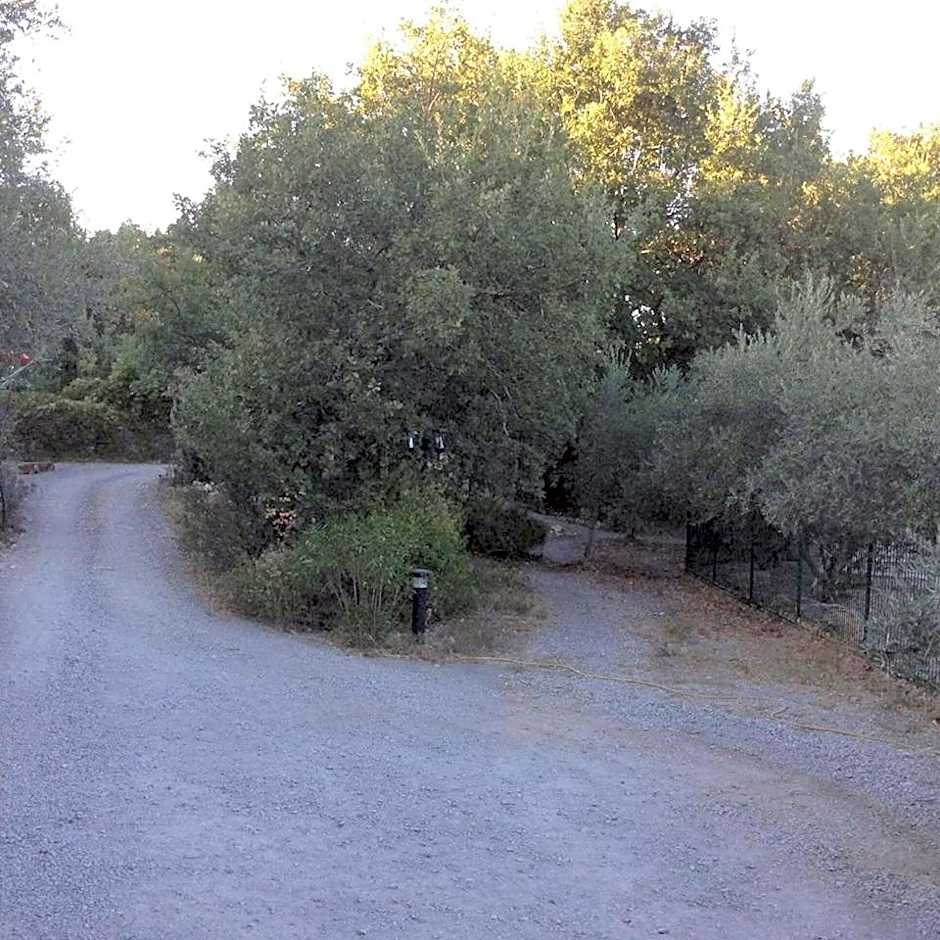 Suite Nid d'Amour et Spa privatif