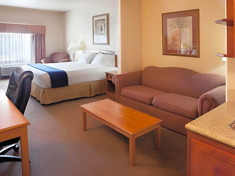 Holiday Inn Express Hotel & Suites Mission-McAllen Area By IHG