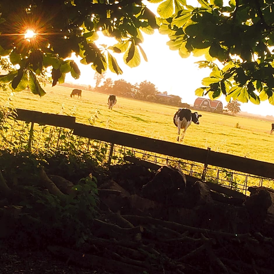 B&B De Pauw - Country Home Cooking