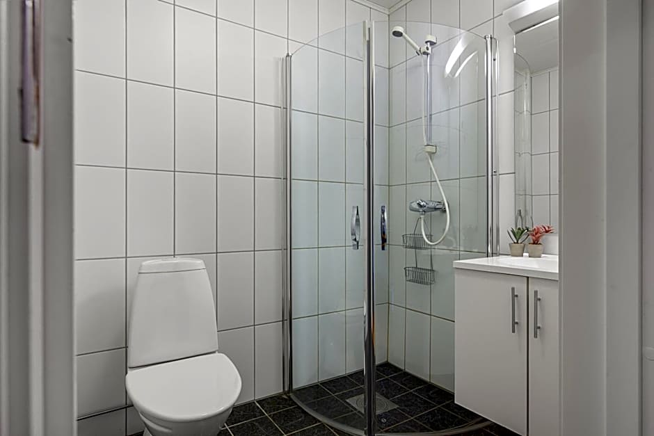 Cozy Studio Close to City, Kitchen & Parking