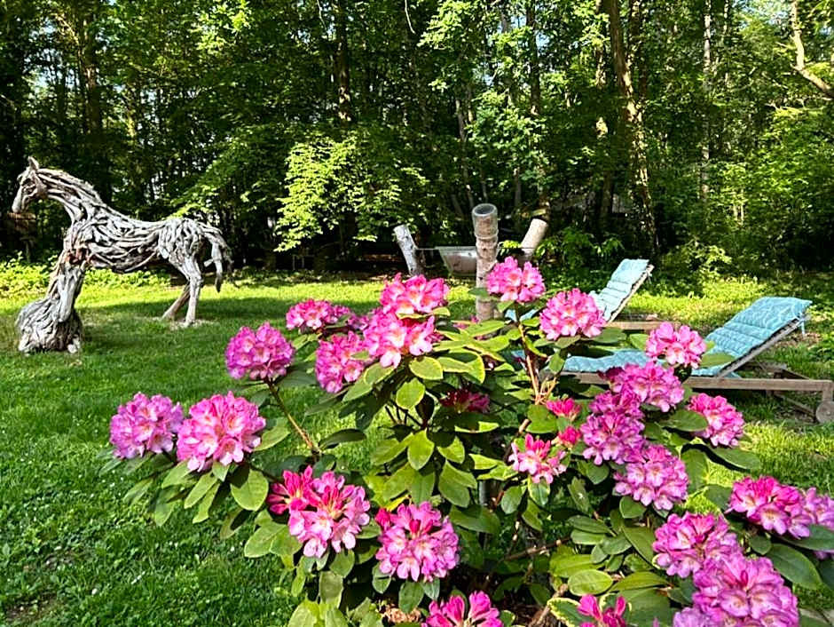 GITES du BOIS des PERRUCHES