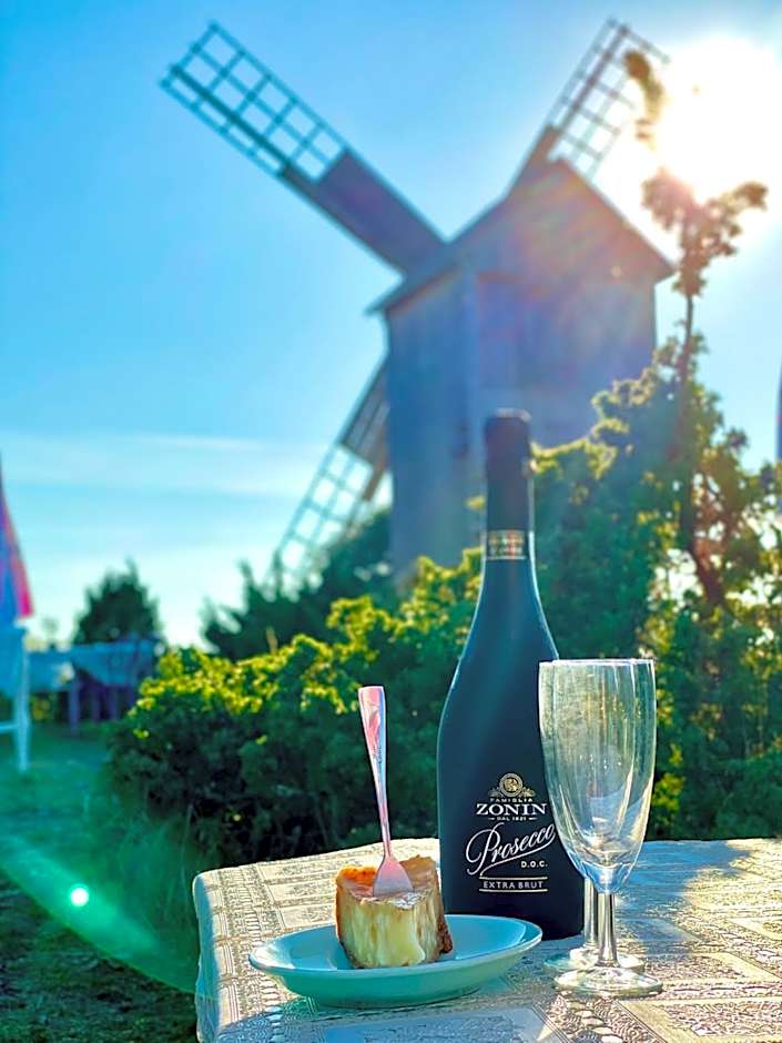 Ohessaare Windmill -Experience accommodation