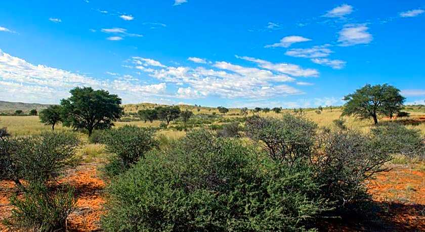 Zoutpanputs Game Lodge