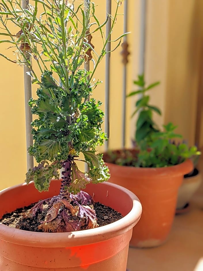 B&B A Casa di Angela