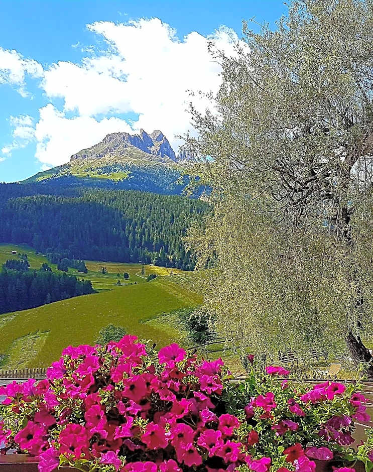 Ciasa Alpina Relax Hotel