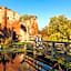 Carlton Oasis