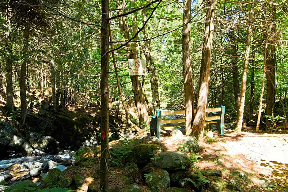 Aux Pignons Rouges Camping & Chalets