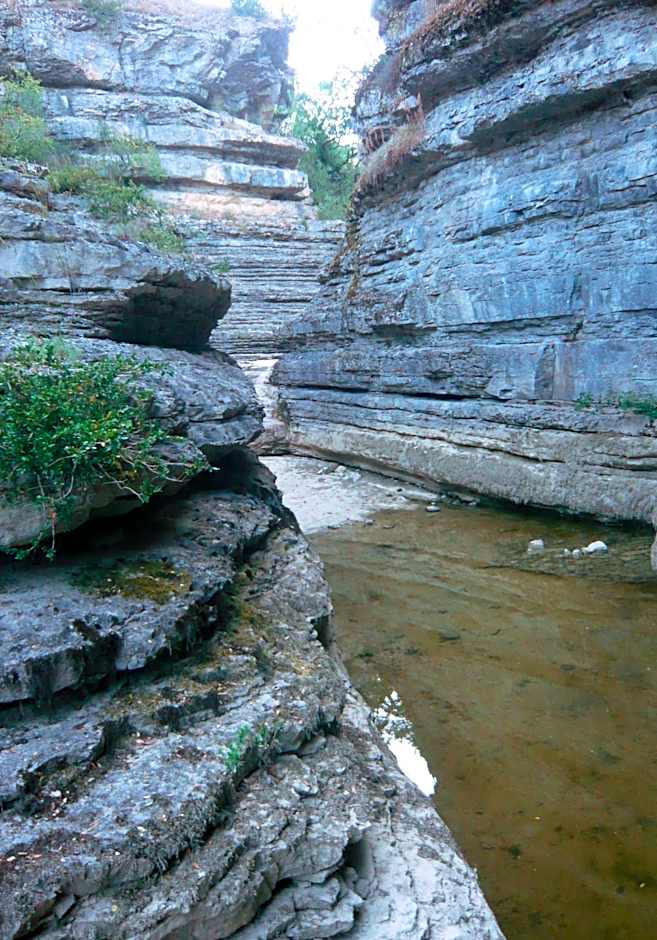 Hôtel Restaurant Les Touristes