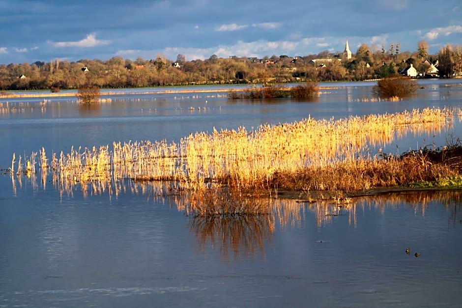 LE CHALET SUISSE - Chambre papillons