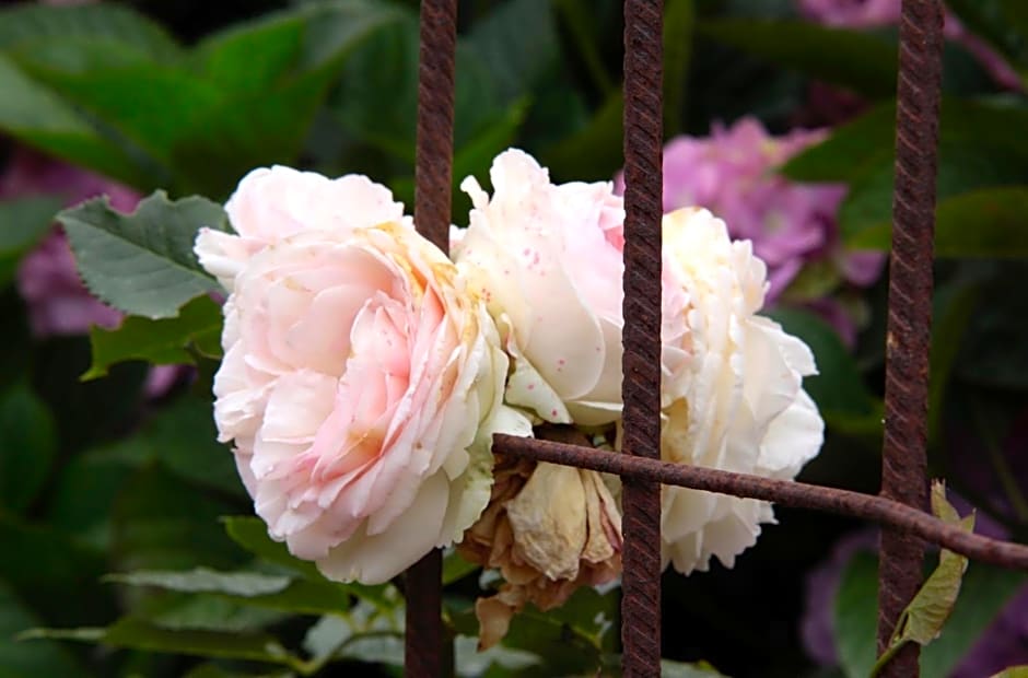 Il était une fois à l'Ouest "Lamballe-Armor"