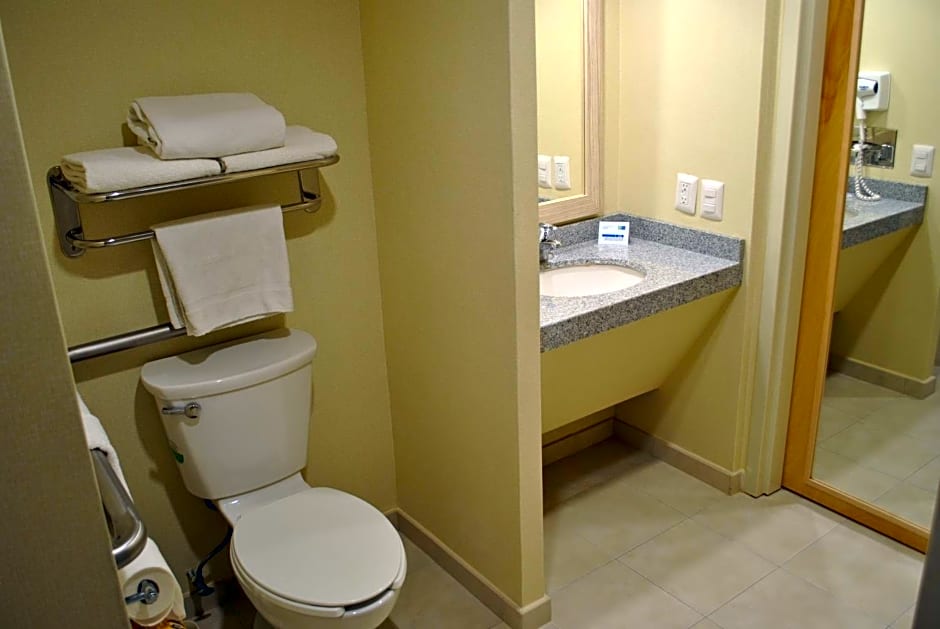 Holiday Inn Express Toluca By IHG
