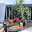 Mercure Paris Bercy Bibliotheque
