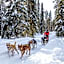 Lapland Hotels Bear´s Lodge
