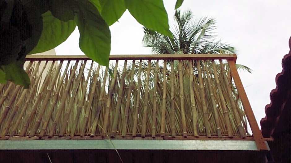 Draco - Thang Long Hotel