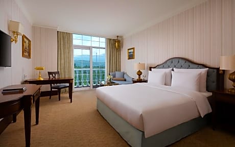 Deluxe King Room with Park View