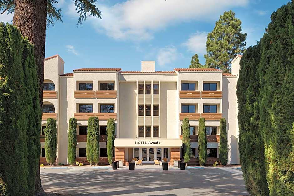 Hotel Avante, part of JdV by Hyatt 