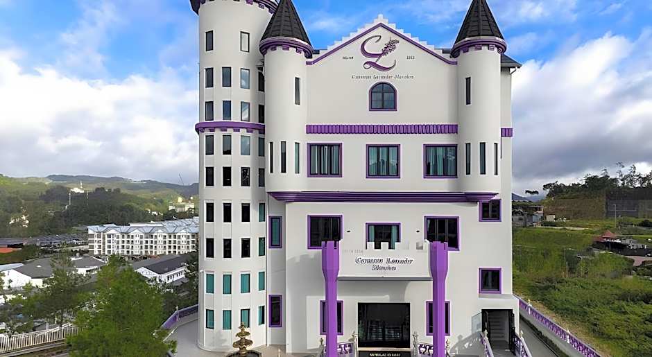 Cameron Lavender Mansion by PLAY 