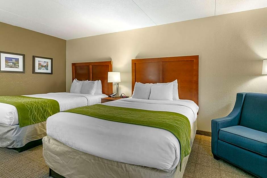 Comfort Inn Downtown Lookout Mountain Chattanooga