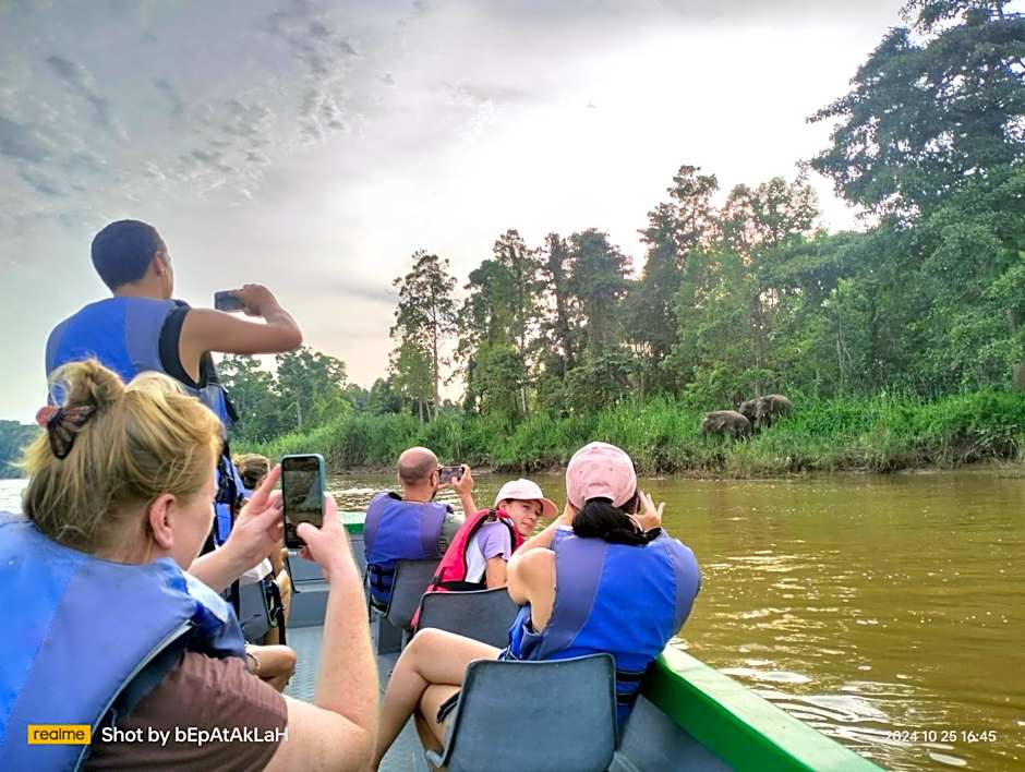 Borneo Jungle Adventure