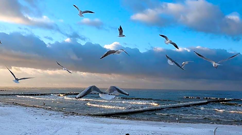 Pokoje gościnne MOTYLEK