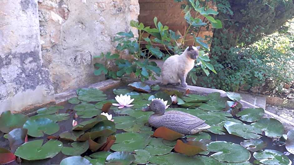 Le Mas du Lac