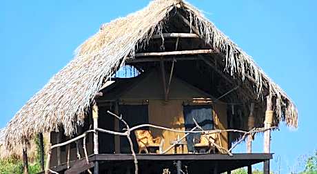 Crater Forest Tented Lodge