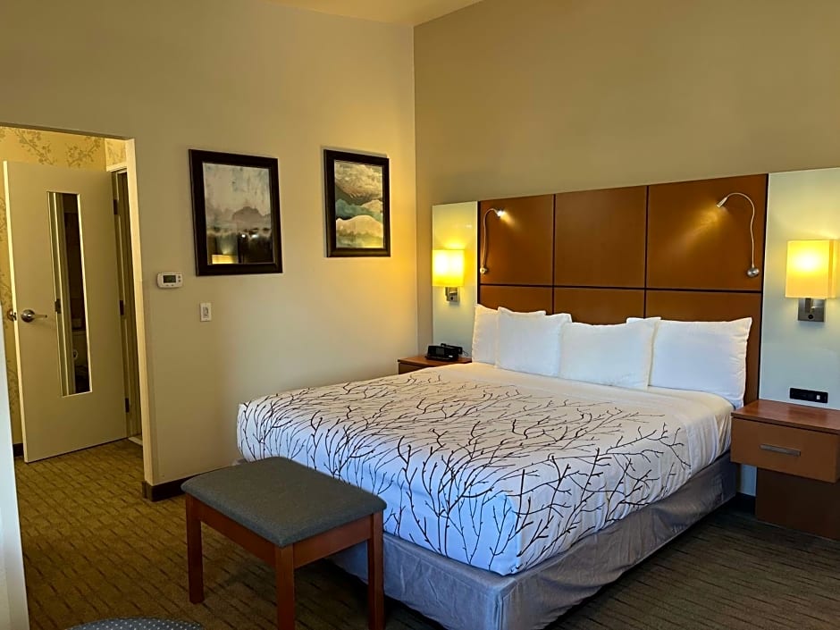 Best Western Plus Silver Saddle Inn