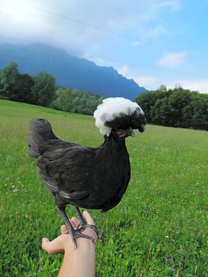 B&B La casa di Loretta