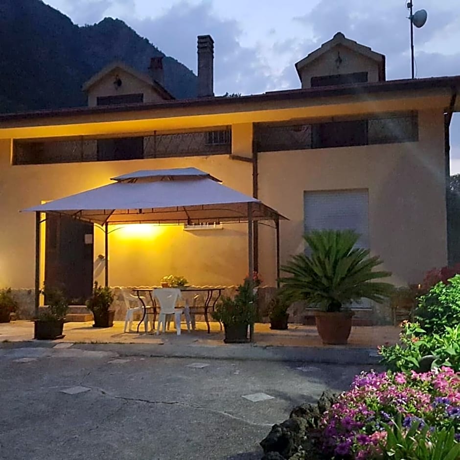 L'acquari