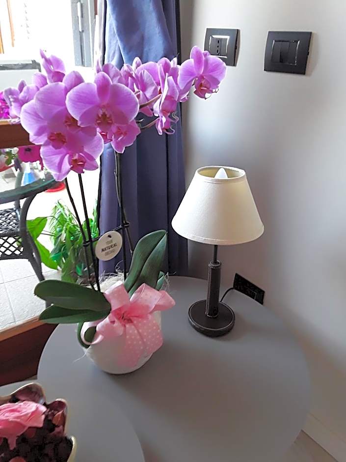 B & B La Terrazza sul mare