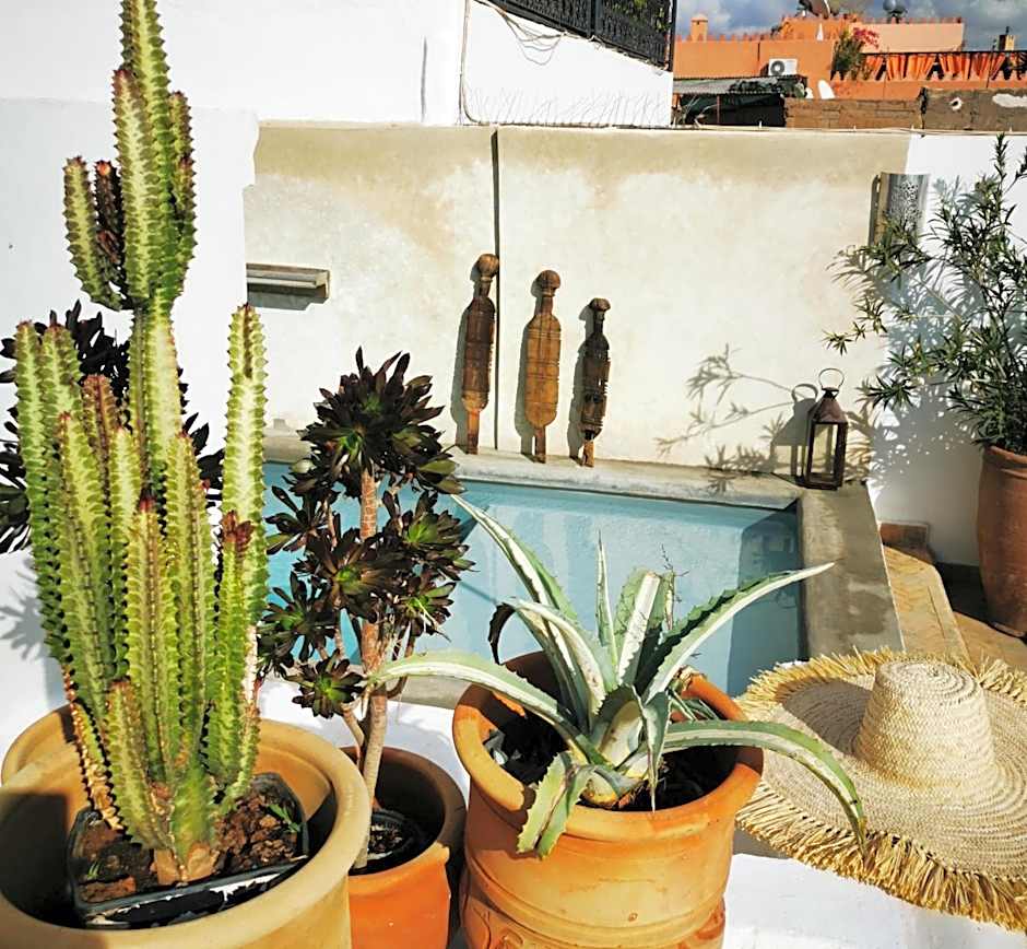 Riad Bab aylen - Piscine Roof Top chauffée