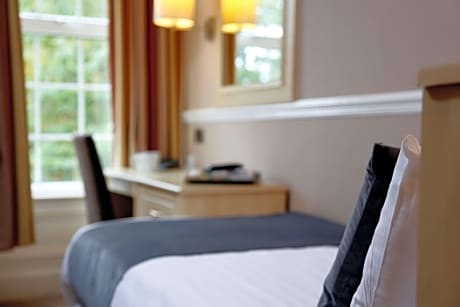 1 Single Bed, Non-Smoking, Standard Room