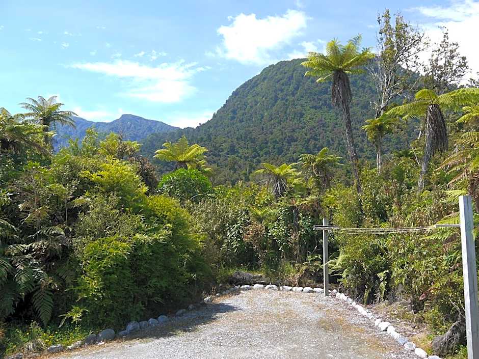 Franz Josef Treetops