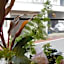 MEEDAFU'S YUI HOSTEL and COFFEE