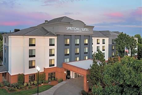SpringHill Suites by Marriott Portland Hillsboro