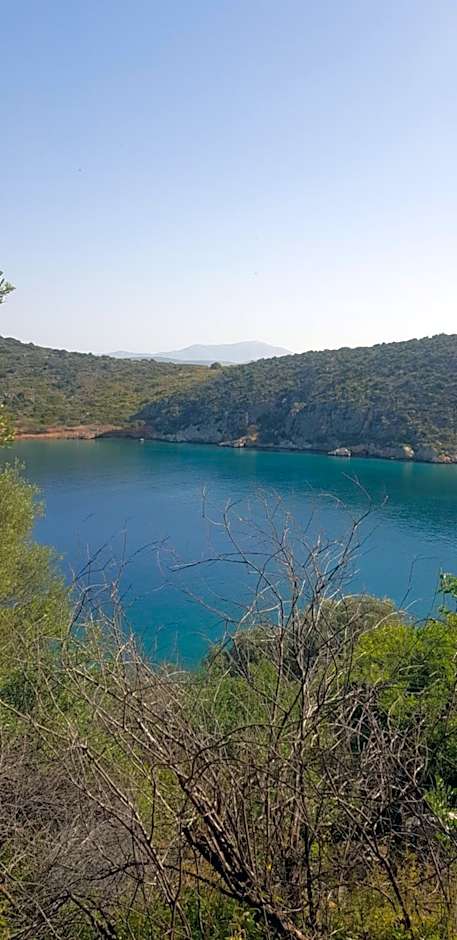 Arcadia Luxury Rooms Seaside Cuisine