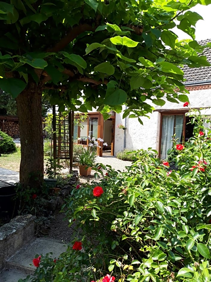 L'Orme Seul, Maison d'hôtes