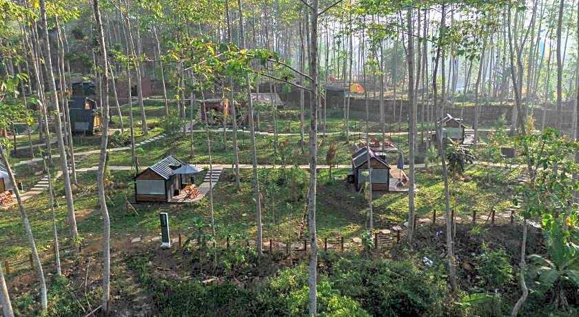 Bobocabin The Tavia, Puncak