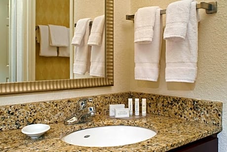 Suite, 1 Bedroom (1 King Bed and 1 Double Sofa Bed)