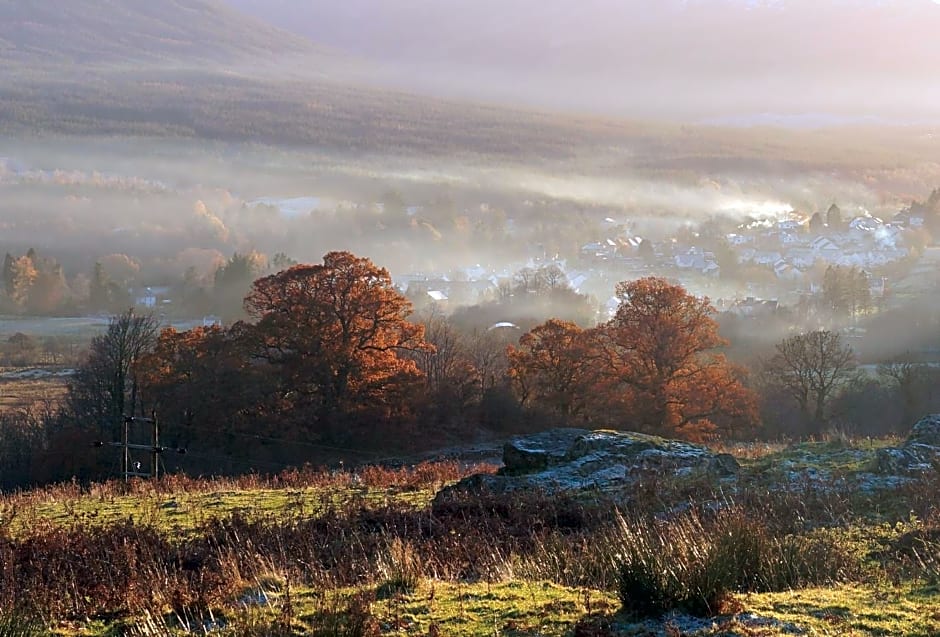 Cosy Rowan woodland lodge no3