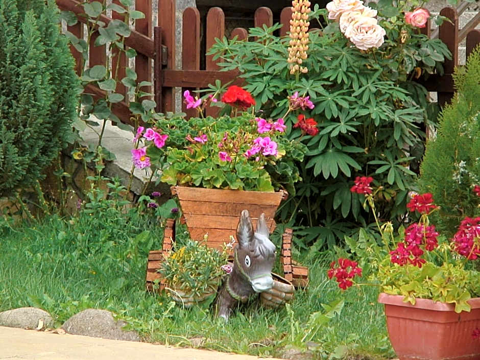 Yagodina Family Hotel