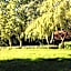 Hotel und Gastehaus Will