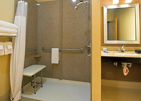1 King Accessible Roll In Shower Non-Smoking
